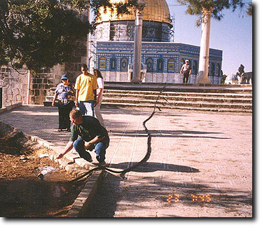 templemount3.jpg (55401 bytes)